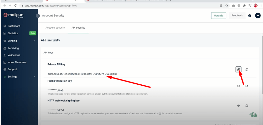 Private API key Mailgun