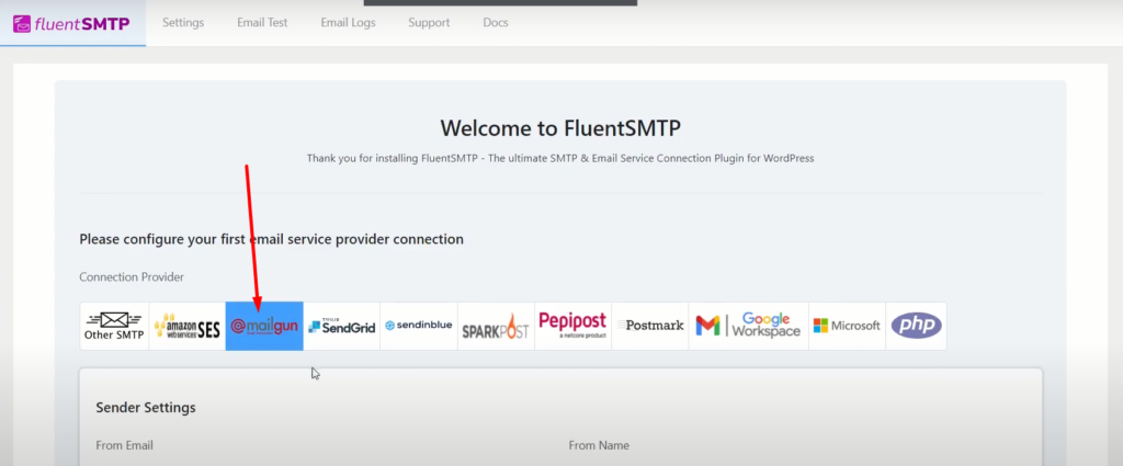 FluentSMTP options 