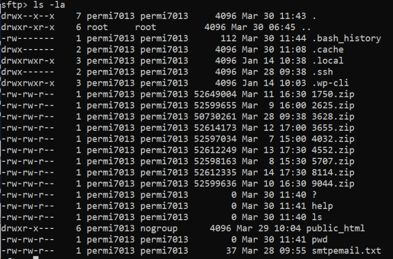 How To Use SFTP To Securely Transfer Files - CloudPages